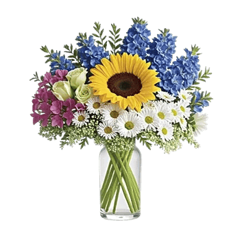 Graceful Lily Display