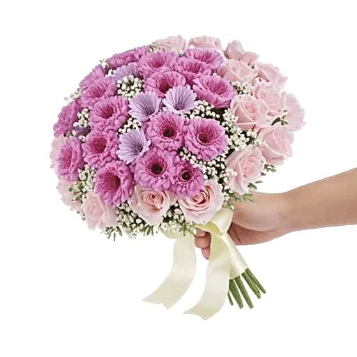 Petal Softness Display