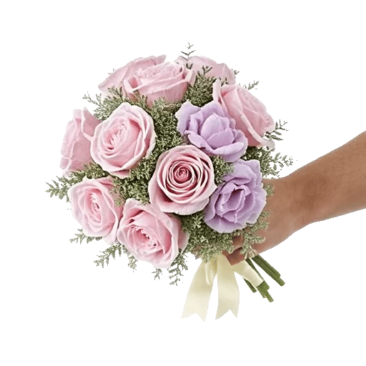 Pastel Pink Roses