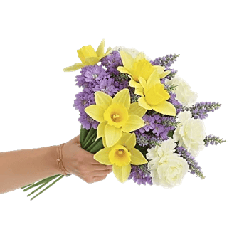 Blossom Harmony Display