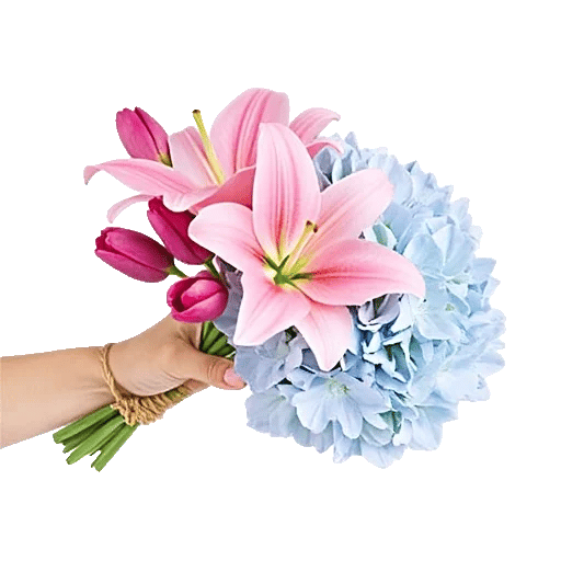 Blossom Harmony Display