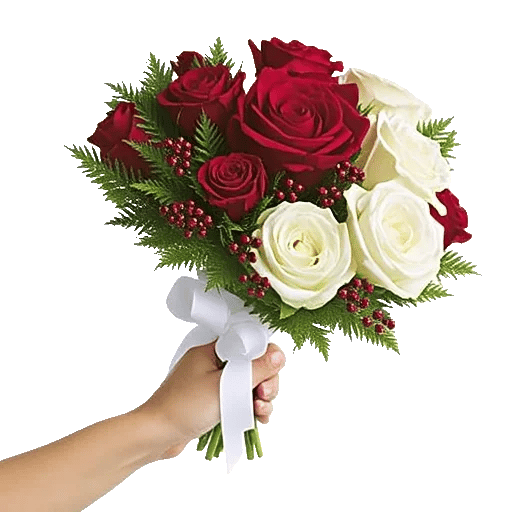 Crimson Rose Elegance