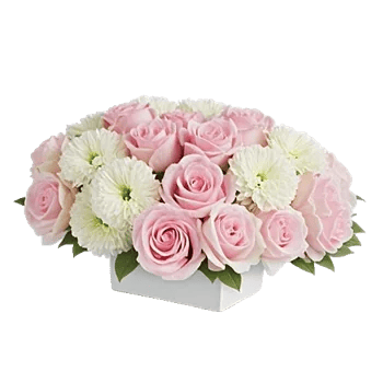 Delicate Petal Cascade