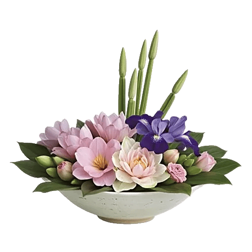 Blossom Petal Serenity