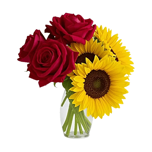 Radiant Rose Symphony