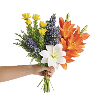 Rosemary Bloom Elegance