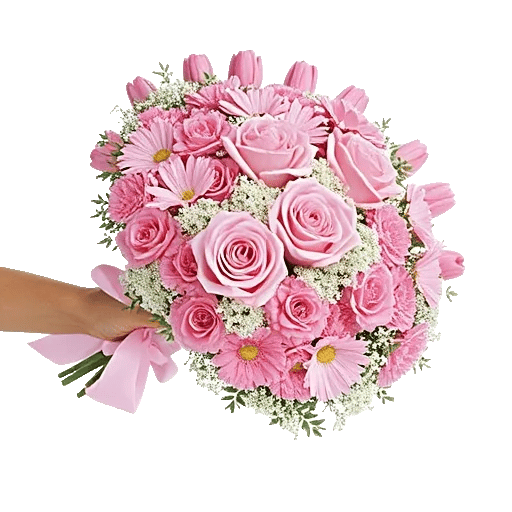 Pastel Pink Roses