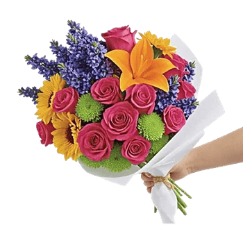 Pastel Pink Roses