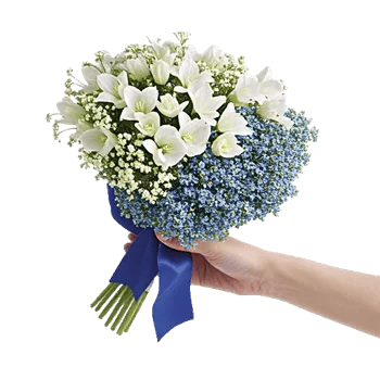 Blossom Petal Serenity