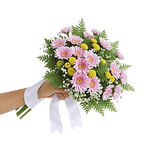 Blossom Radiant Whisper