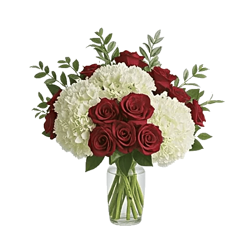 Crimson Rose Elegance