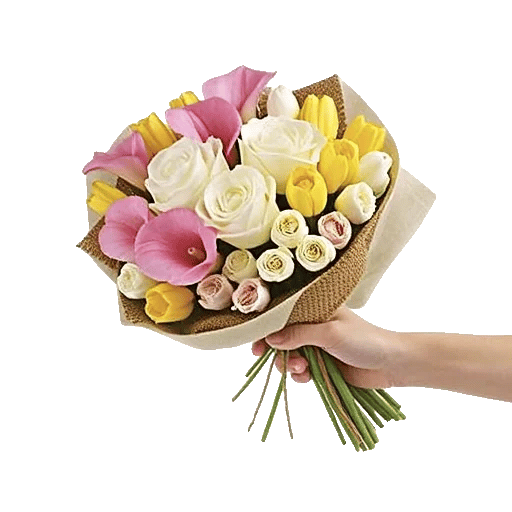 Ivory Garden Grace