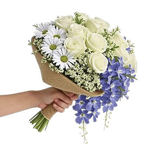 Ivory Blossom Radiance