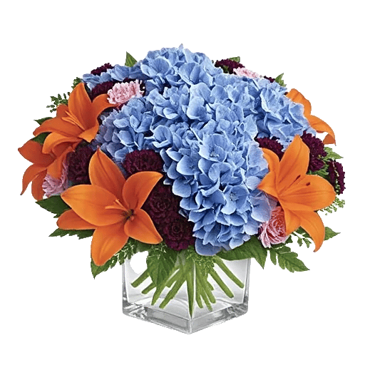 Sapphire Bloom Whisper