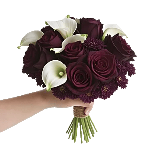 Elegant Calla Lilies