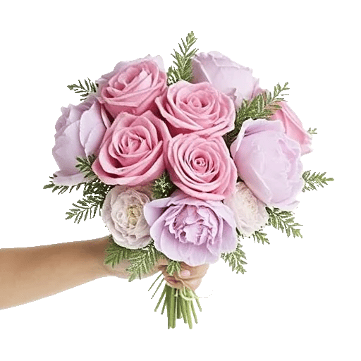 Pastel Pink Roses