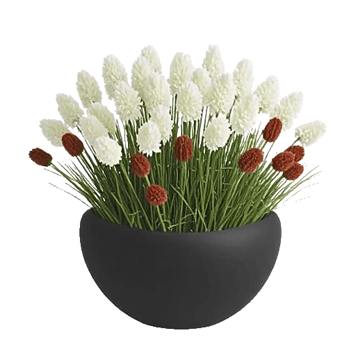 Modern White Orchids