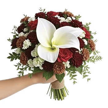 Elegant Calla Lilies