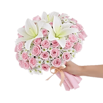 Petal Grace Harmony