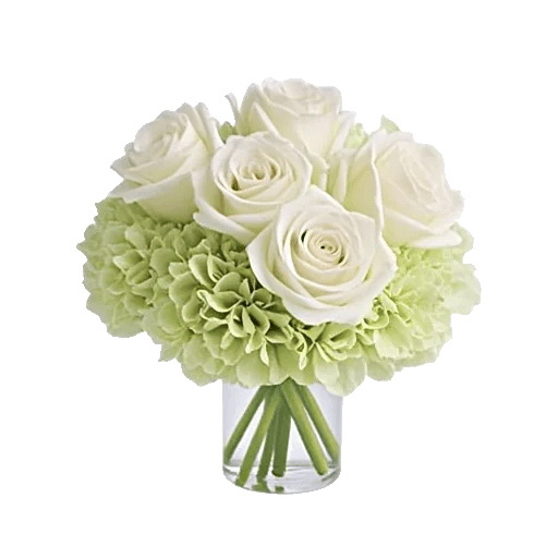 Ivory Blossom Radiance