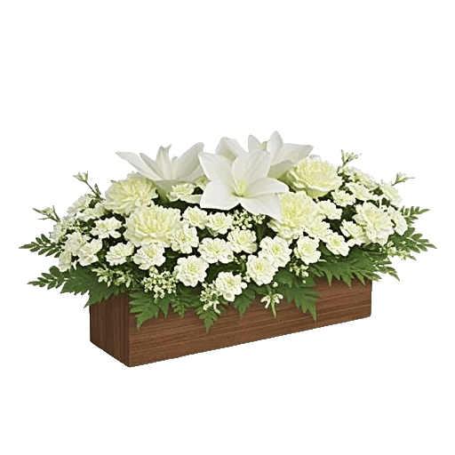 Delicate Petal Cascade