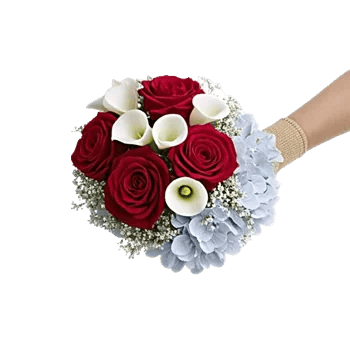 Crimson Rose Elegance