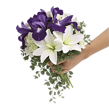 Ivory Blossom Radiance