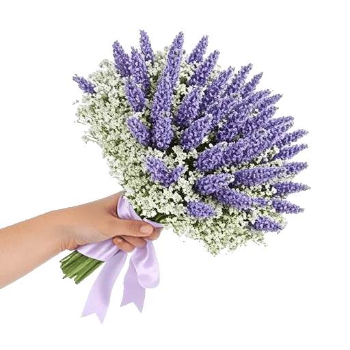 Rosemary Bloom Elegance