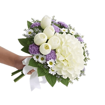 Serene Petal Harmony