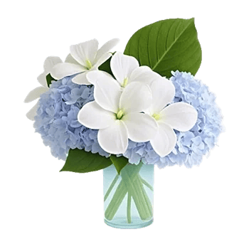 Serene Petal Harmony