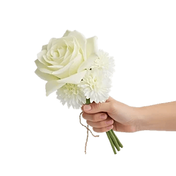 Delicate Petal Cascade