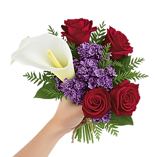 Elegant Calla Lilies