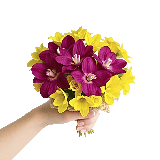 Serenity Orchid Bloom