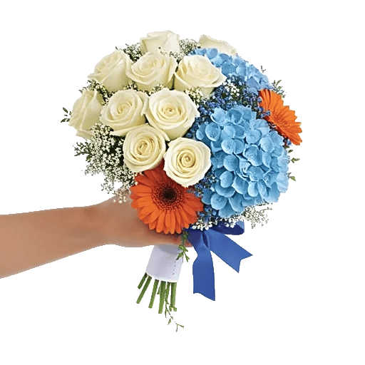 Serene Petal Harmony