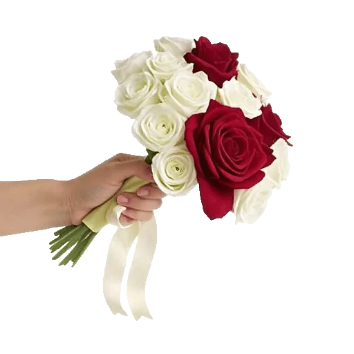 Delicate Petal Cascade