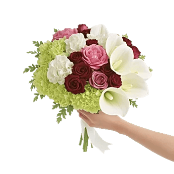 Delicate Petal Cascade