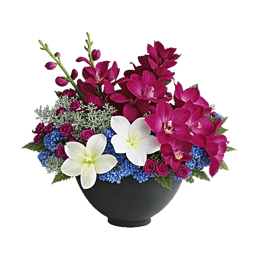 Modern White Orchids