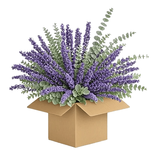 Lavender Bloom Grace