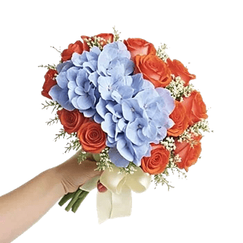 Serene Petal Harmony