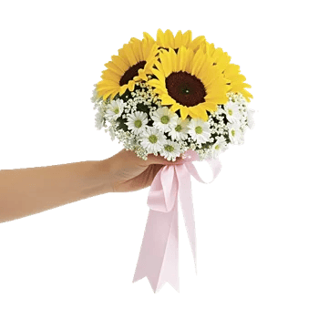 Twinkling Sunflower Dance