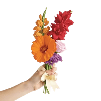 Petal Harmony Bliss