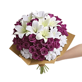 Blossom Harmony Display