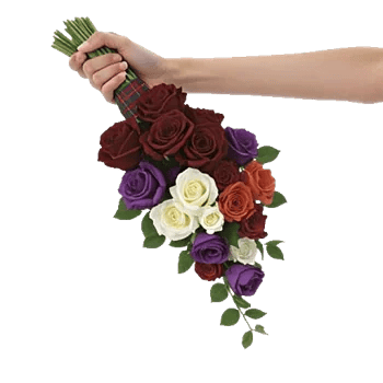 Delicate Petal Cascade