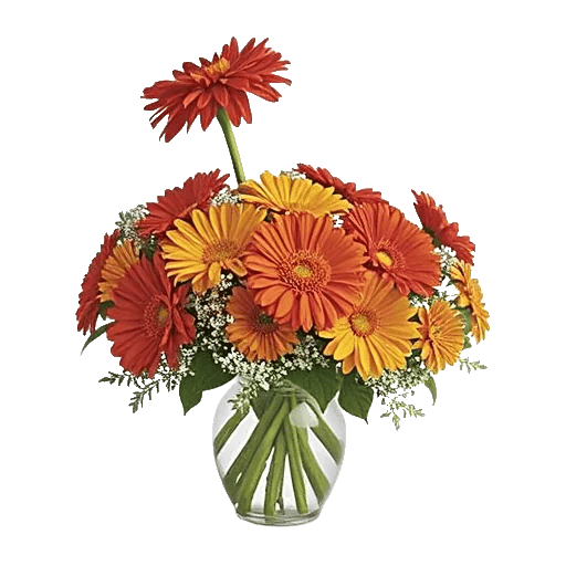 Radiant Bloom Cascade