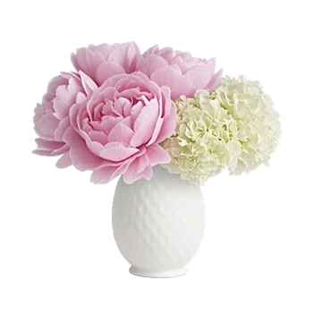 Ivory Blossom Radiance