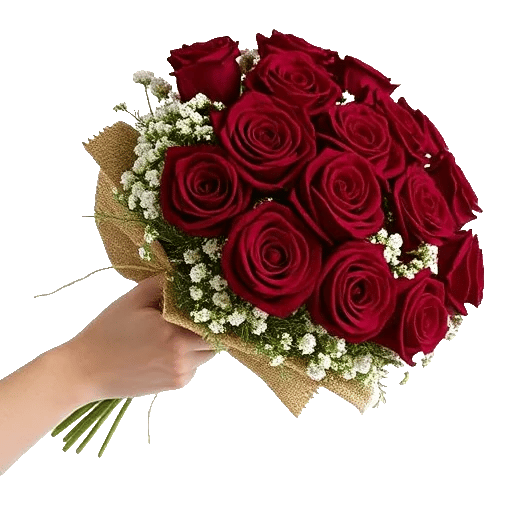 Crimson Rose Elegance