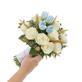 Blossom Petal Serenity