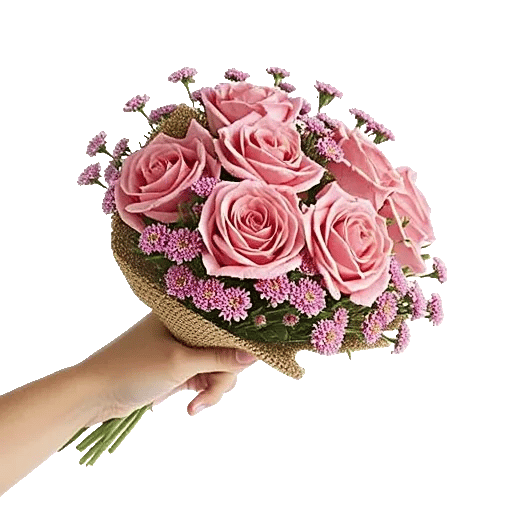 Pastel Pink Roses