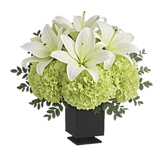 Ivory Blossom Radiance