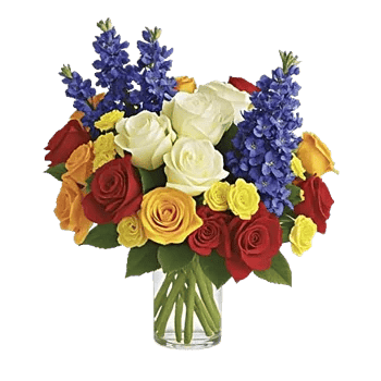 Radiant Rose Symphony